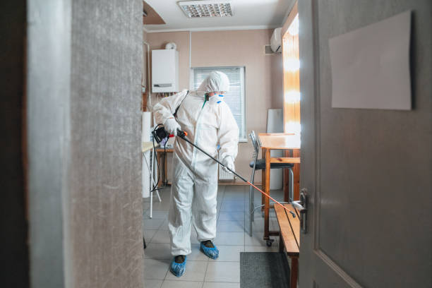 Best Industrial Mold Remediation  in River Edge, NJ
