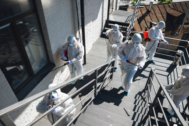 Best Forensic Mold Investigation  in River Edge, NJ