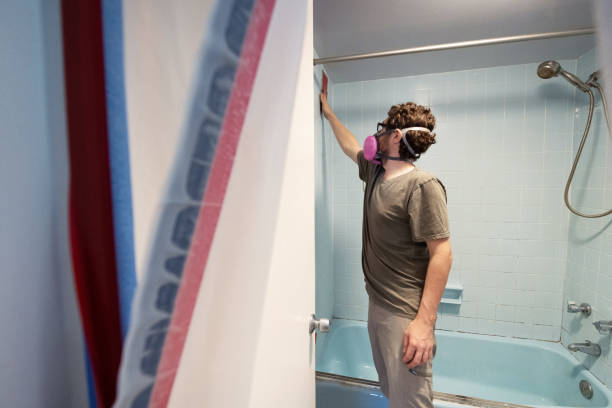 Reliable River Edge, NJ Mold Removal Solutions