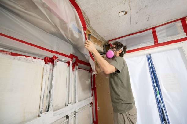 Best Residential Mold Inspection & Testing  in River Edge, NJ