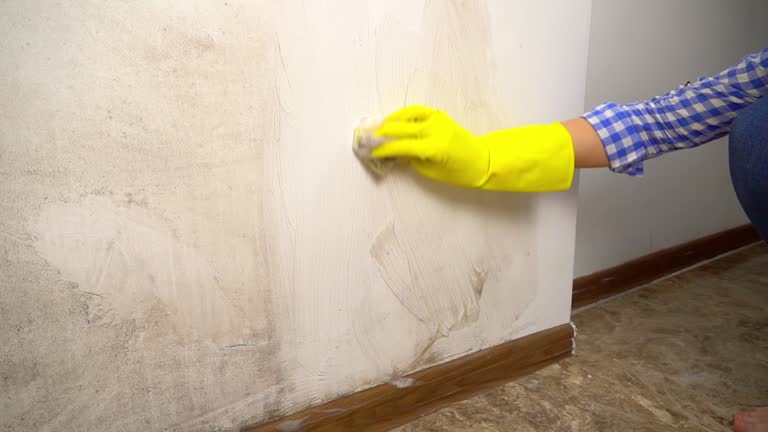 Best Post-Construction Mold Inspection  in River Edge, NJ