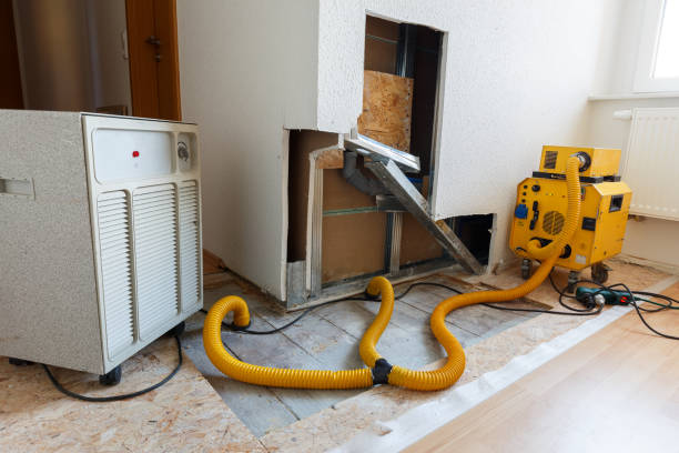 Best Dehumidification Services  in River Edge, NJ