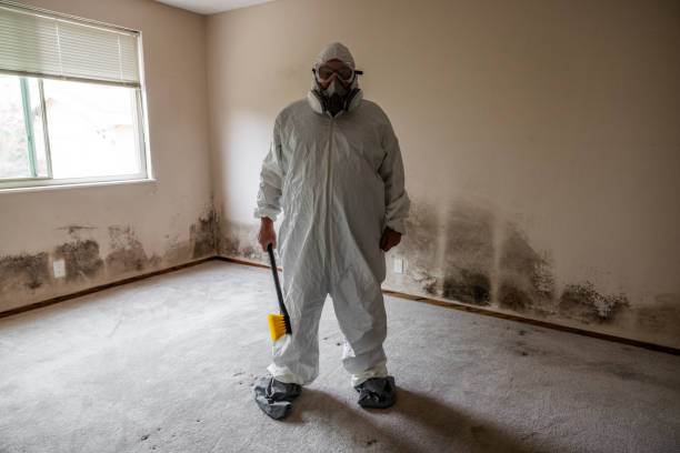 Best HVAC Mold Inspection and Cleaning  in River Edge, NJ