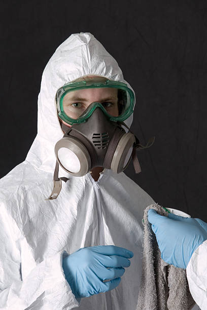 Best Basement Mold Removal  in River Edge, NJ
